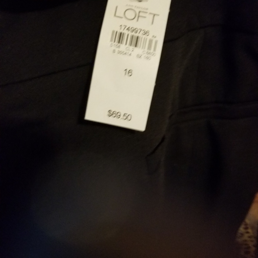 Loft pants